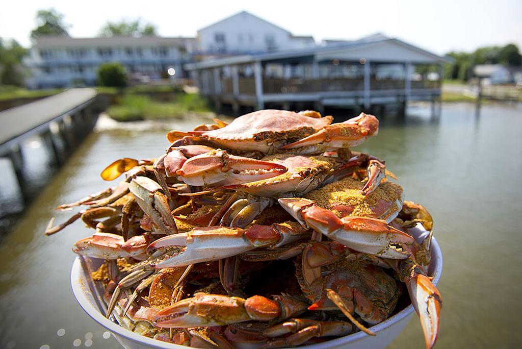 Chesapeake House Tilghman Island Esterno foto